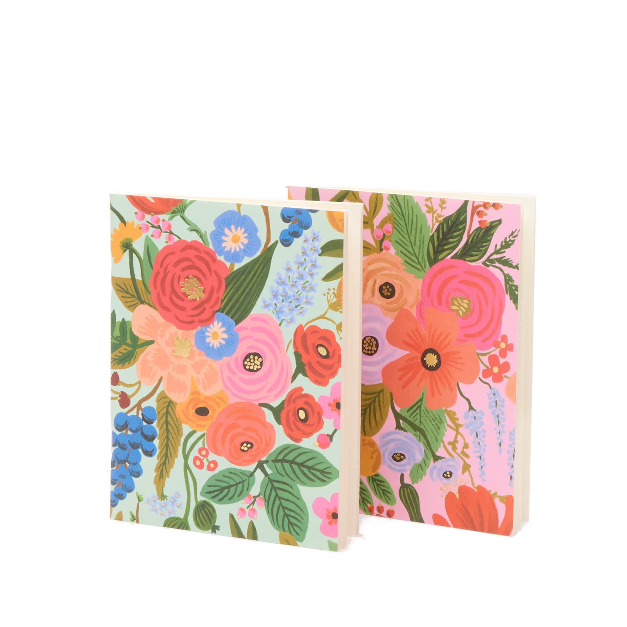 Pair of 2 Garden Journals