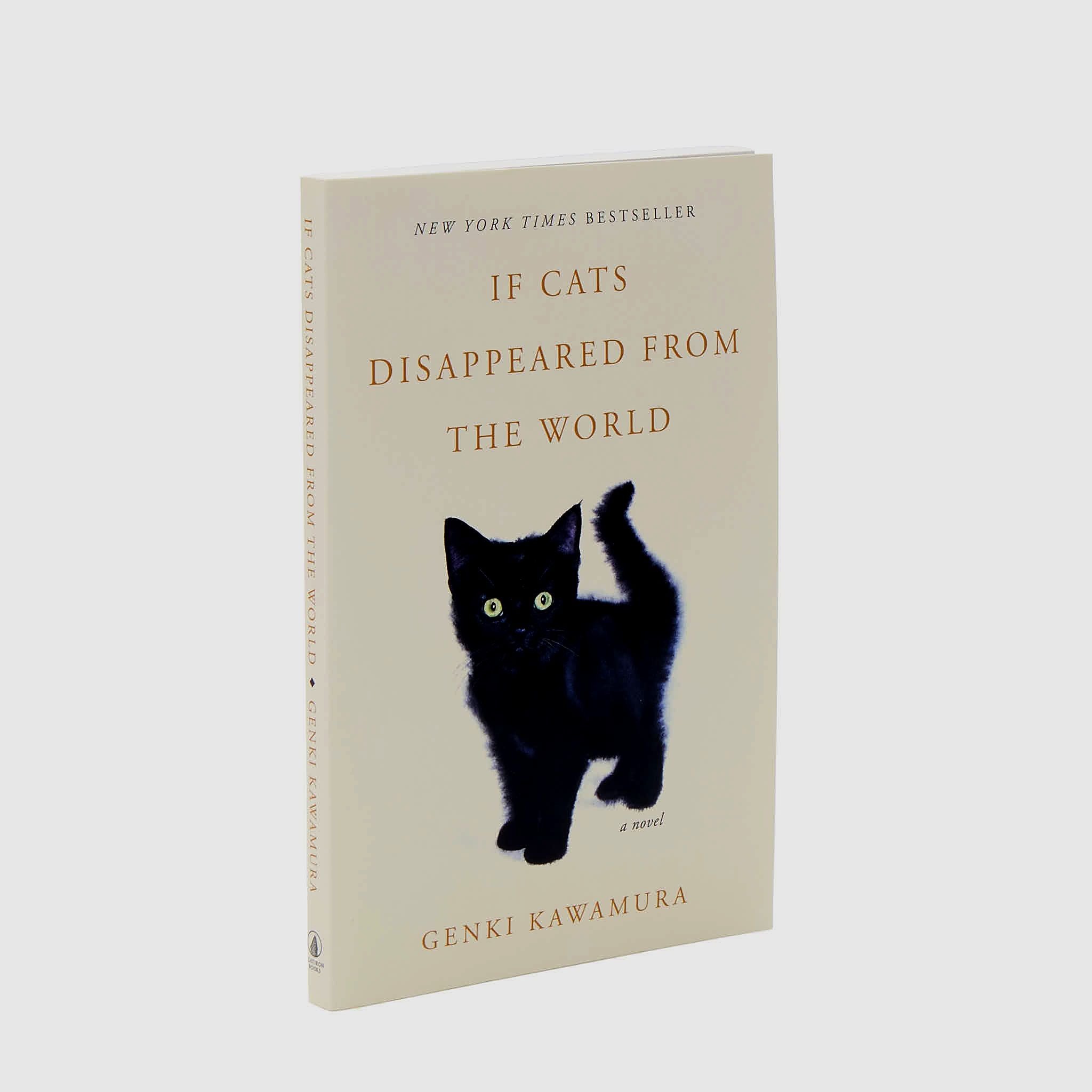 If Cats Disappeared From the World