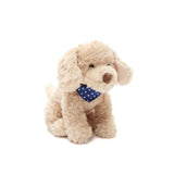 Bentley the Golden Doodle