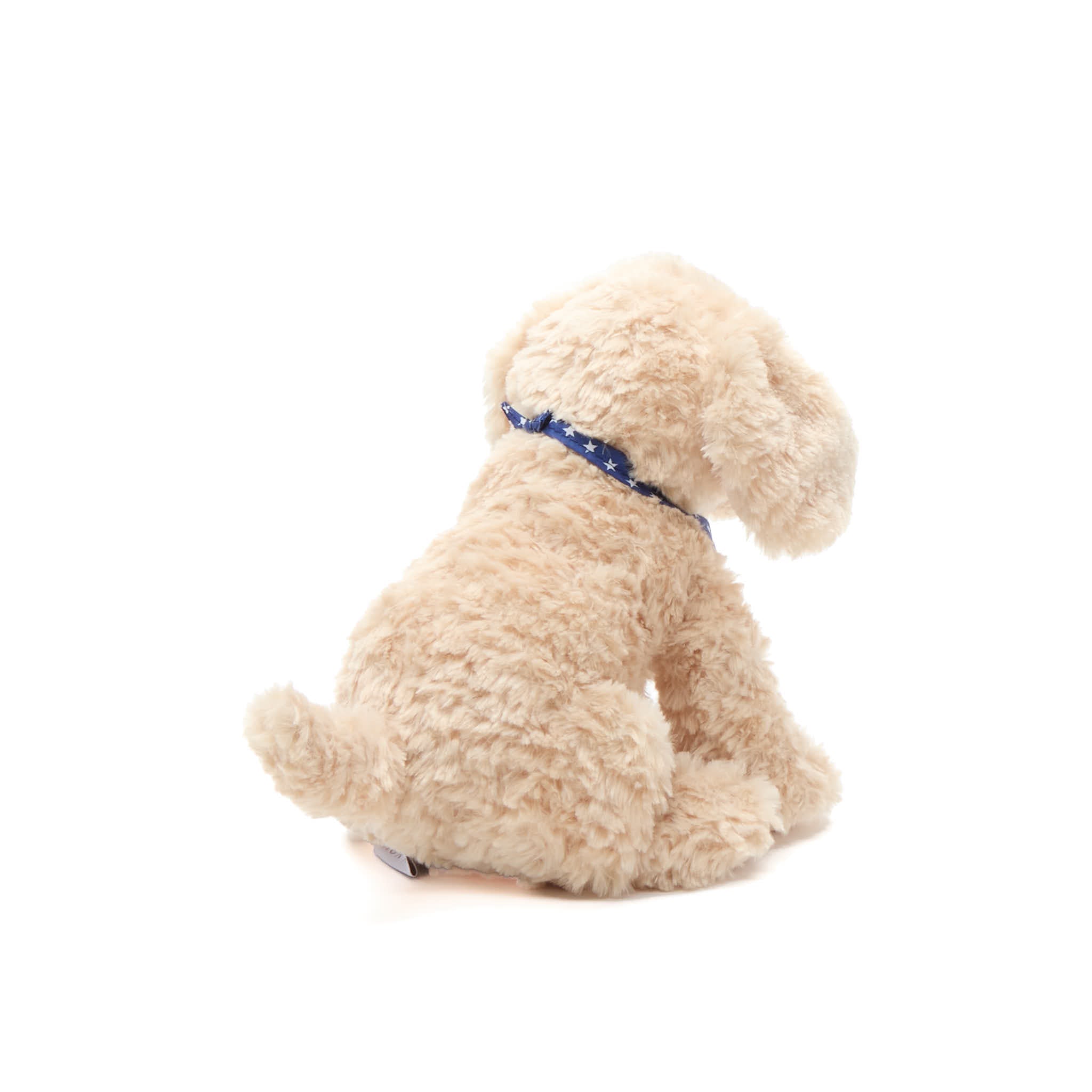 Bentley the Golden Doodle