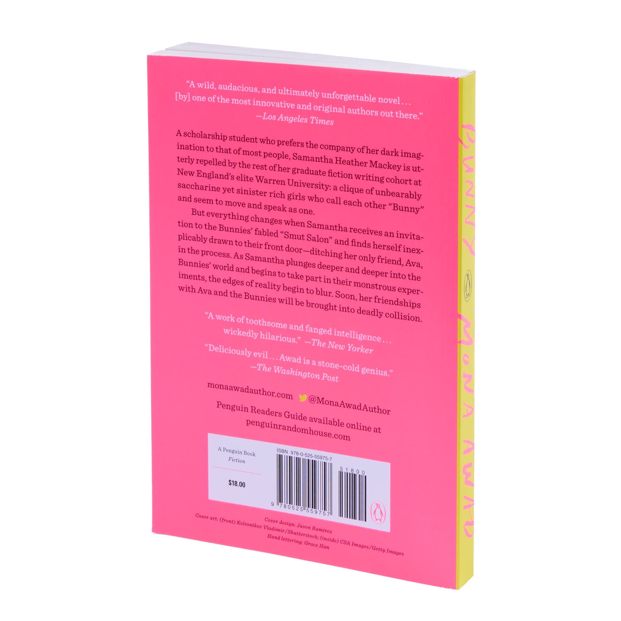Back cover of 'Bunny' by Mona Awad with with promotional quotes and a book summary.