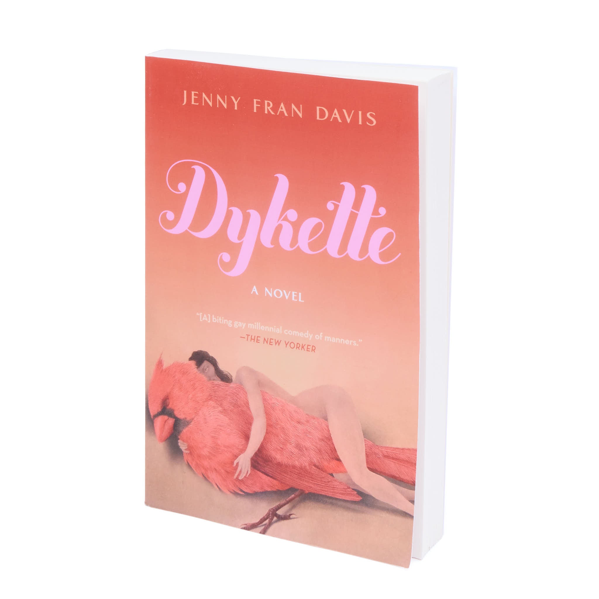 Front cover of 'Dykette' by Jenny Fran Davis.