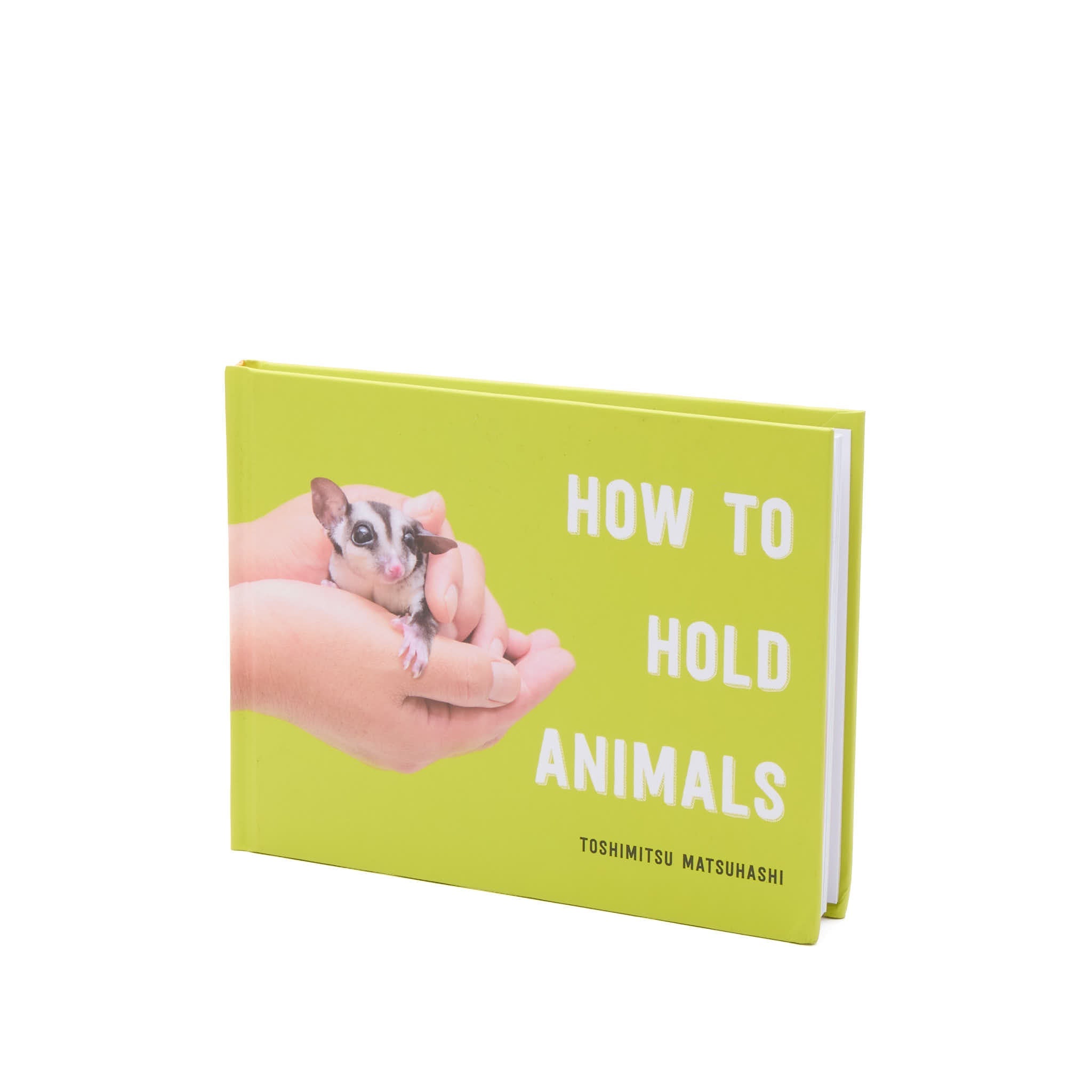 How to Hold Animals