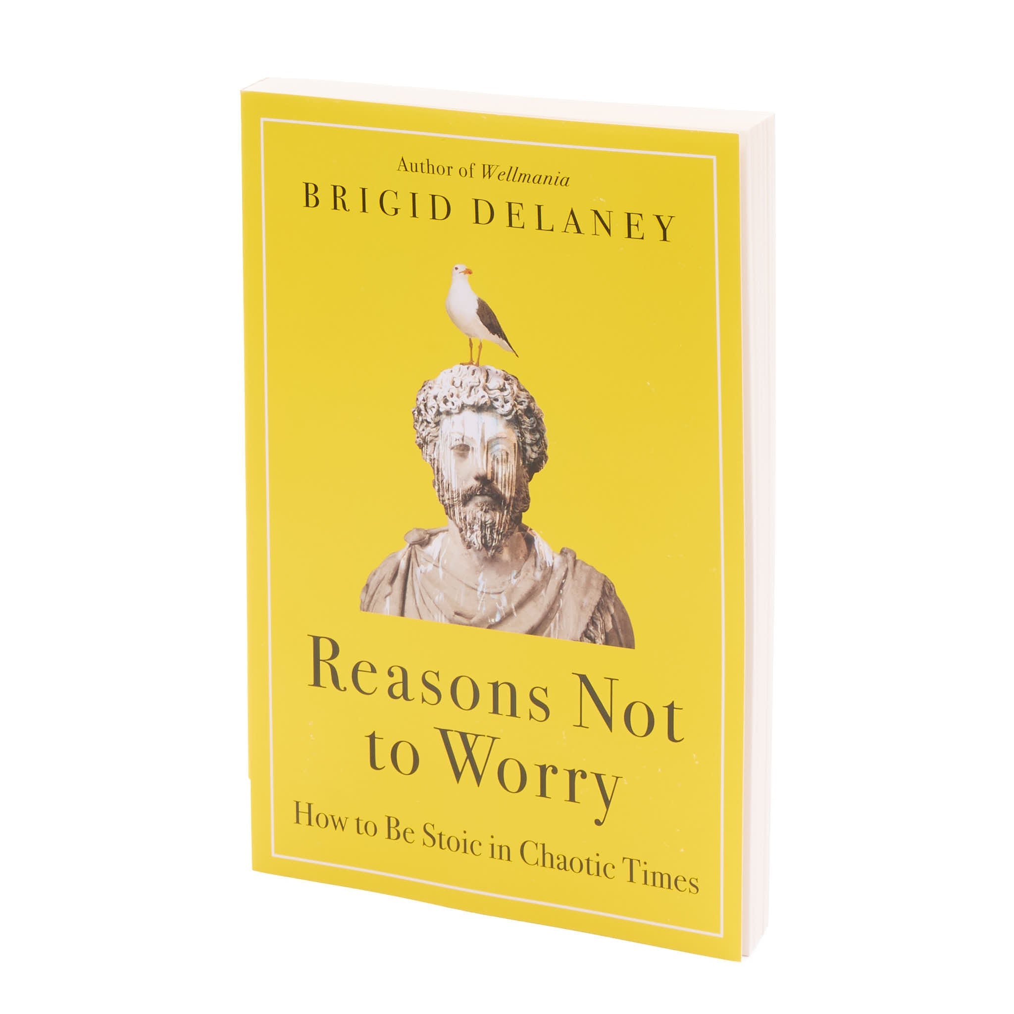 Book cover of 'Reasons Not to Worry' by Brigid Delaney.