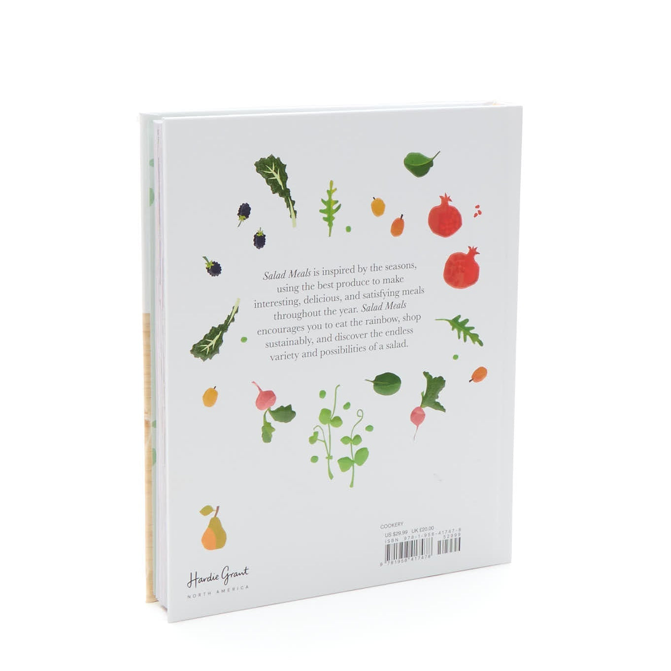 Salad Meals