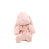 Small Plush Bunny