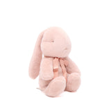 Small Plush Bunny