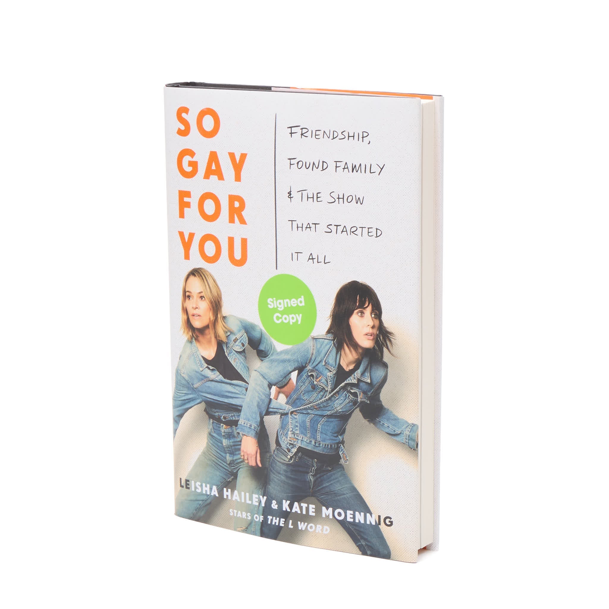 So Gay for You: Friendship, Found Family, and the Show That Started It All