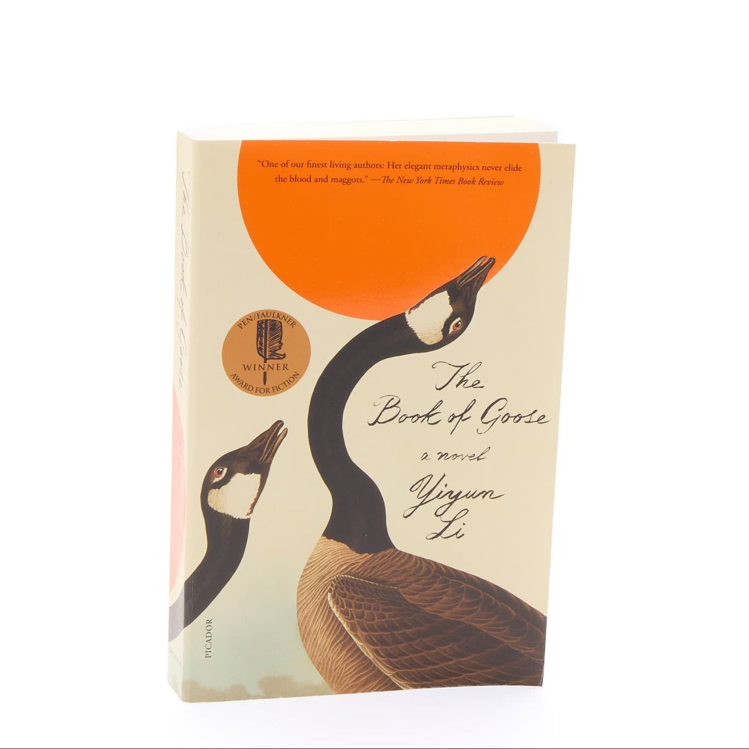 The Book of Goose (A Novel)