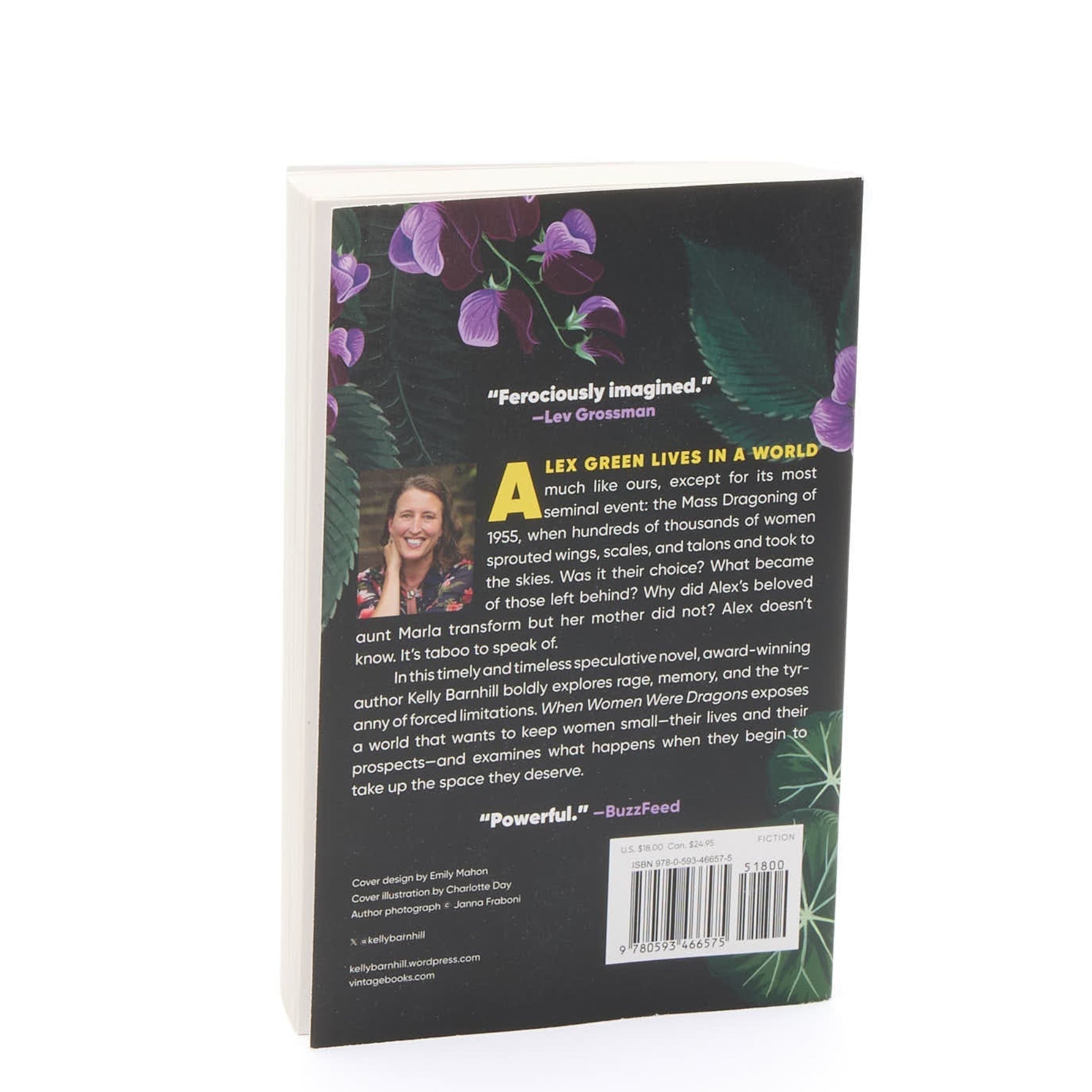 When Women Were Dragons (A Novel)